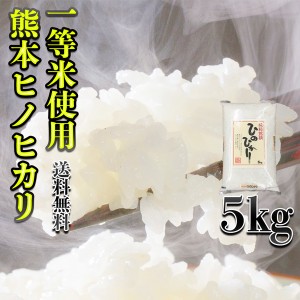 お米 米 5kg 白米 送料無料 一等米使用 熊本県産 ひのひかり 新米 令和5年産 ヒノヒカリ あす着 5kg1個 くまもとのお米 富田商店 とみた