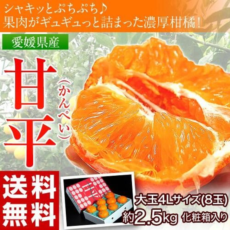 甘平 柑橘 愛媛産 大玉限定『甘平』 約2.5キロ 4L 8玉 化粧箱入り 送料