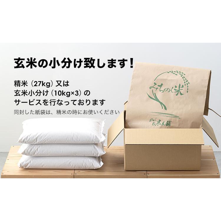 玄米　厳選米　宮城県産 つや姫 令和5年産 玄米 30kg　送料無料　小分け無料