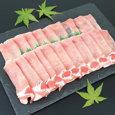 ふるさと納税 南さつま市  ブランド黒豚 かごしま 黒豚 600g 焼肉用 ローススライス