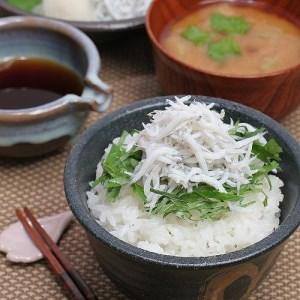 ふるさと納税 紀州湯浅湾直送！茹でたて釜揚げしらす　1kg（250g×4パック入）　 和歌山県那智勝浦町