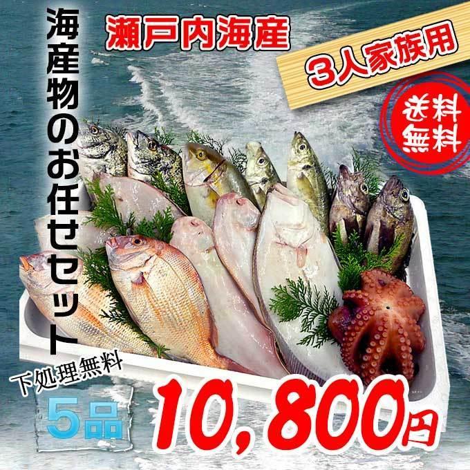 瀬戸内海産　海産物の詰め合わせ3人前5品セット　魚介類