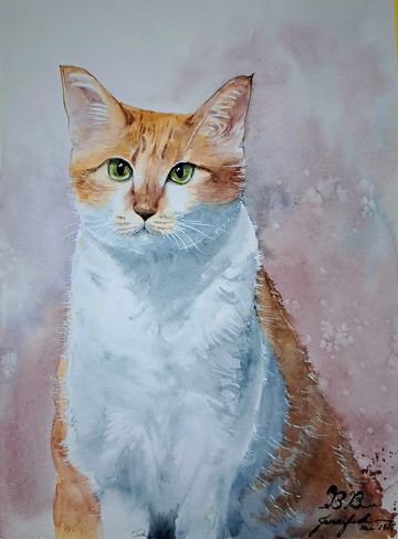 客製寵物手繪水彩畫(含畫框)