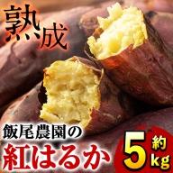 飯尾農園の「熟成」紅はるか　約5kg_miio-874