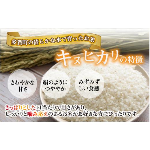 ふるさと納税 滋賀県 多賀町 キヌヒカリ10kg（5kg × 2袋） おいしい多賀のお米 [B-00401]