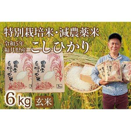 ふるさと納税 〈新米〉減農薬米 こしひかり 6kg ／令和5年福井県産 （玄米） 福井県越前市