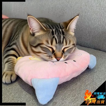 【台灣出貨】寵物枕頭 狗狗枕頭 貓咪枕頭 中小型犬枕頭 可拆洗 專用睡覺牀上寵物柔軟泰迪狗牀品貓咪卡通墊子通用