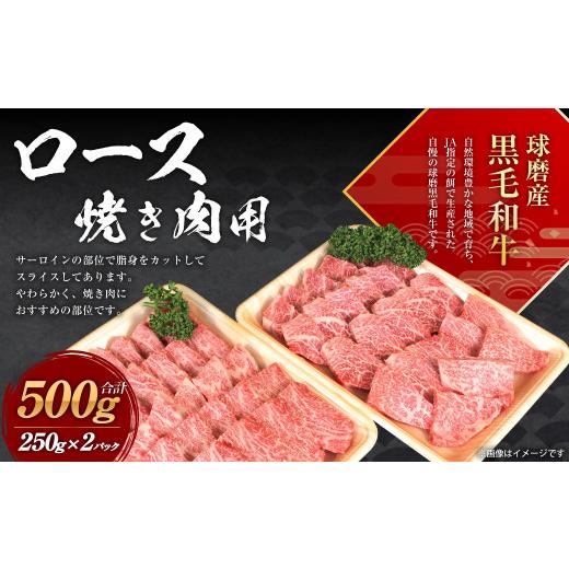 ふるさと納税 熊本県 水上村 球磨産 黒毛和牛 ロース 焼き肉用  500g (250g×2パック)