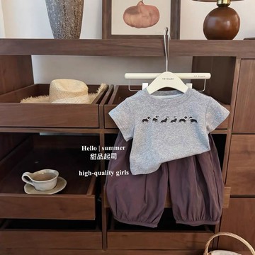 Healthy baby 女童夏季套裝新款洋氣女童短袖T恤燈籠褲超仙寶寶兒童兩件套 女童套装 儿童套装 短袖