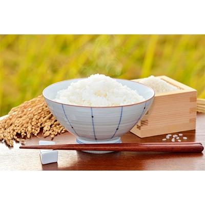 ふるさと納税 飛騨市 飛騨産「いのちの壱」5kg×3袋　特別栽培米