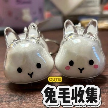 ✨每日現貨✨透明兔毛收集器吊飾 匙扣包掛件 兔毛收集吊飾 兔毛收納盒送鑰匙扣 兔兔吊飾 兔子毛髮存放膠囊紀念 1015