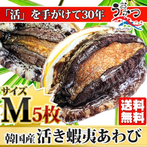 活蝦夷あわびМ（70 80g）5枚入 お中元・お歳暮ギフトにも最適 送料無料 BBQに！