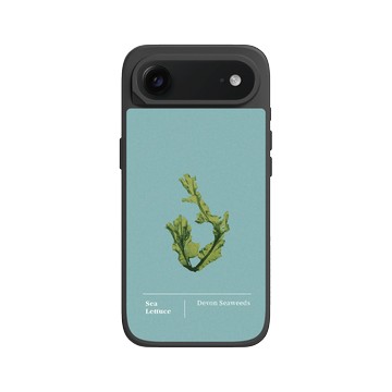 iPhone Air SolidX 黑 - The Seaweed Studio - 德文郡・美扇藻研習