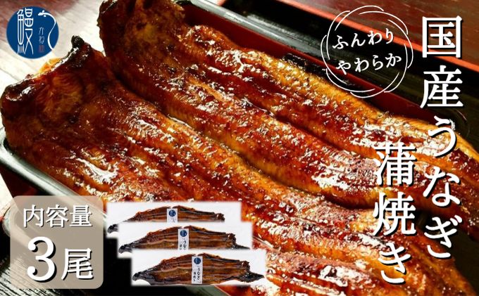 うなぎ蒲焼き　3尾入　国産　三河一色産