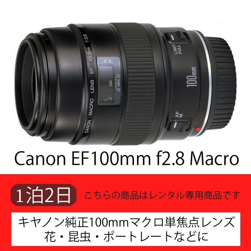 キャノン Canon EF 100mm F2.8 MACRO 単焦点マクロレンズ - レンズ(単焦点)