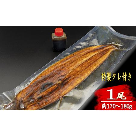 ふるさと納税 厳選!!藁焼きかつおのタタキ1節と高知県産うなぎの蒲焼き1尾セット×3回定期便 高知県安芸市