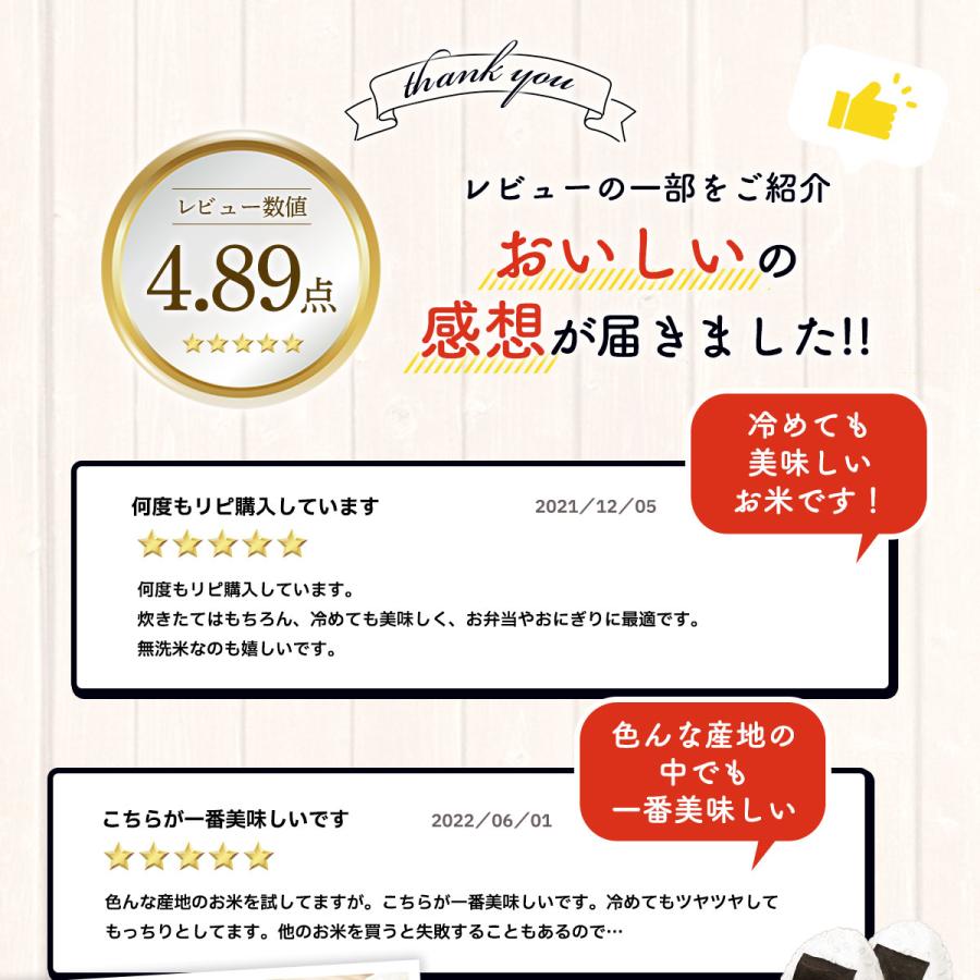 米 5kg 無洗米 森のくまさん 熊本産 最新年度産 特A評価 精米 白米 うるち 常温便