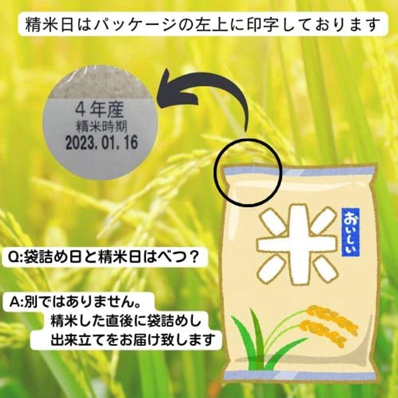 無洗米 会津産コシヒカリ 10KG（5kg×2袋） 令和4年産 会津CROPS グラントマト