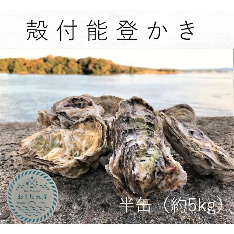 能登かき　殻付（半缶  約5kg）( 約45個 )（牡蠣ナイフ、片手用軍手付）