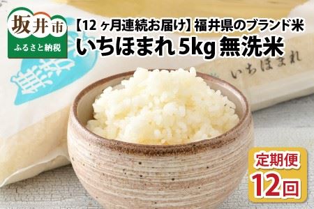  定期便 ≪12ヶ月連続お届け≫ 福井県のブランド米 いちほまれ 無洗米 5kg × 12回 計60kg [K-6153]