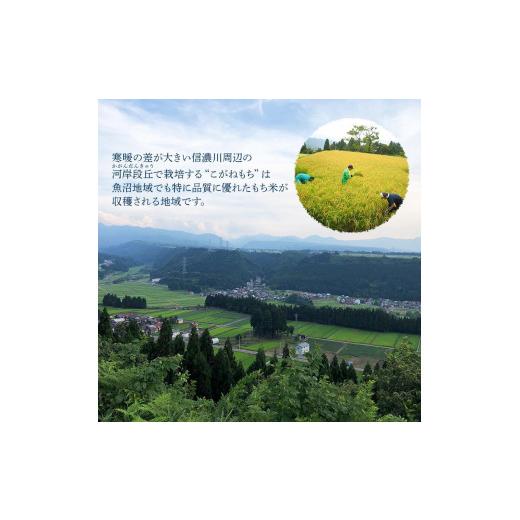 ふるさと納税 新潟県 十日町市 魚沼産こがねもち100％使用(令和5年産）越路餅500g3種  3点セット（包装付）