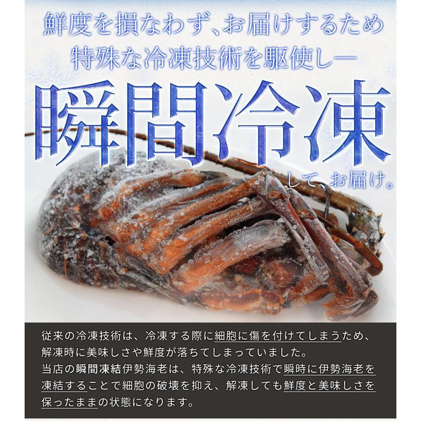 伊勢海老半身 大サイズ２個 鮮度の良い三重県産伊勢海老を瞬間凍結 調理しやすいよう半分にカット 海鮮 バーベキュー BBQ テルミドール イセエビ いせえび