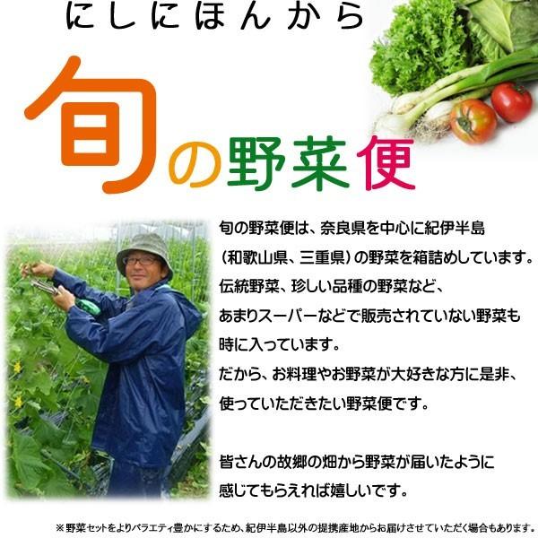 産地直送 旬の野菜セット(8〜10品目)有機質肥料 野菜 詰め合わせ 奈良 和歌山 三重 送料無料