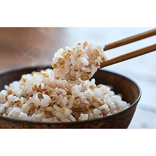 原農場のもち麦（300ｇ×2　合計600ｇ）　無農薬・無化学肥料栽培のもち麦