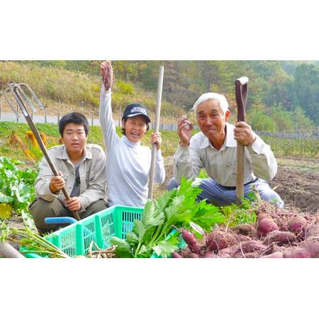 ふるさと納税 安芸高田市の小さな農家お届けするふるさと旬野菜セット 広島県安芸高田市