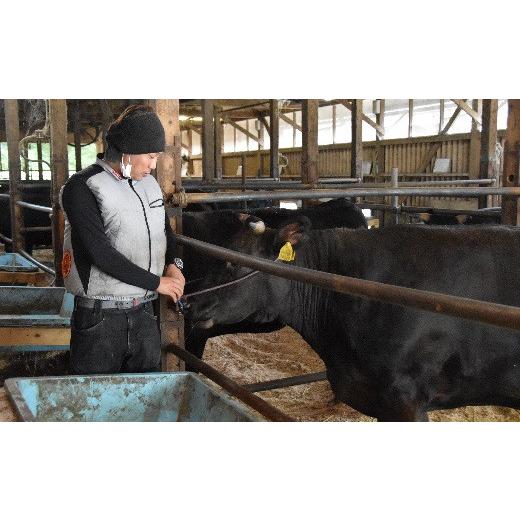 ふるさと納税 三重県 松阪市 松阪牛　しゃぶしゃぶ(モモ)700g