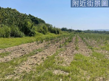 近台南歸仁高鐵站優質一般農業區 農牧用地｜台南市歸仁區大苓段