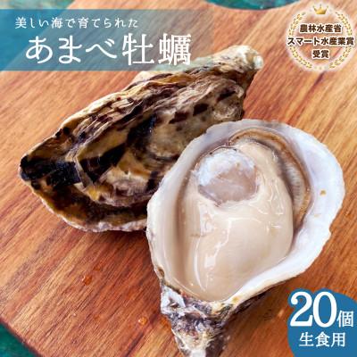 ふるさと納税 海陽町 シングルシード 方式でつくられたあまべ牡蠣(20個)