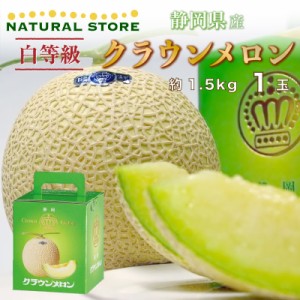  クラウンメロン 白等級 1玉 約1.5kg 化粧箱 静岡県産 上級品 マスクメロン 夏ギフト 御中元 お中元 夏ギフト お中元 御