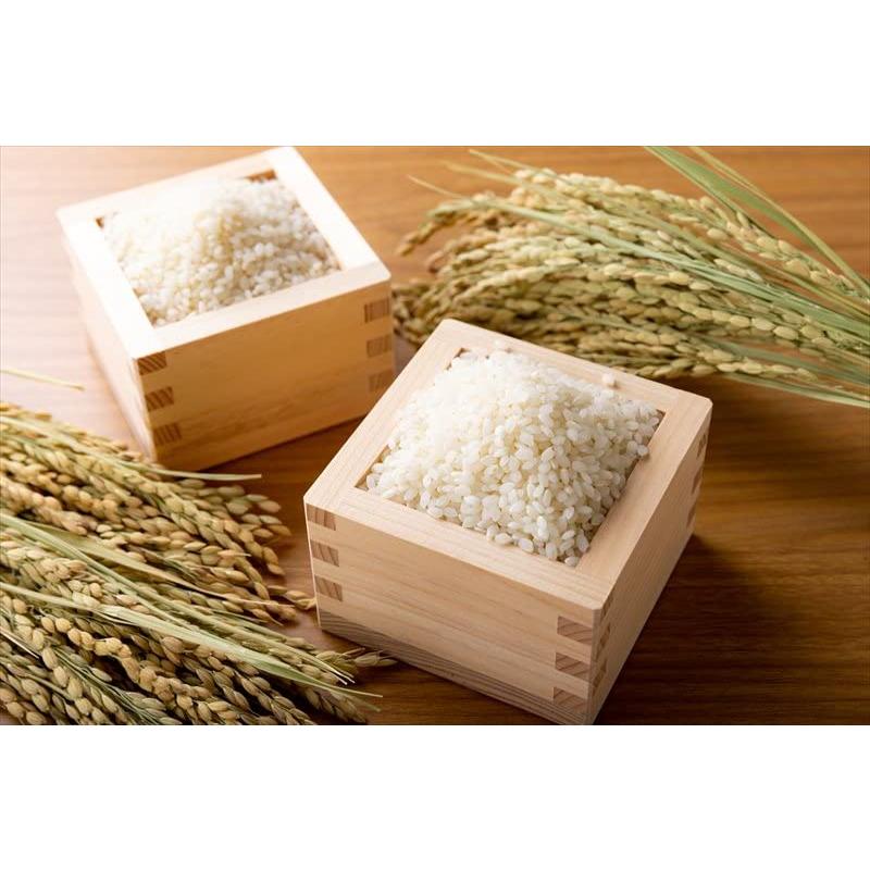 無農薬無肥料栽培米（白米）20キロ