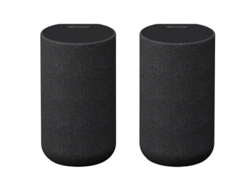 【SONY 索尼】SA-RS5 無線後環繞揚聲器 後環繞喇叭 (純運送)