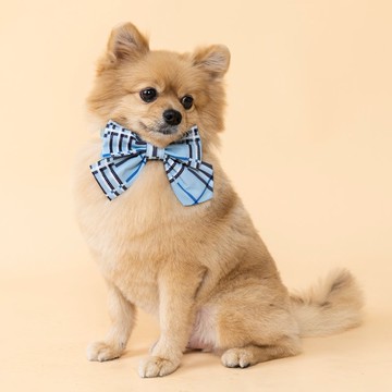 寵物絲質蝴蝶結領巾 | ZAZAZOO