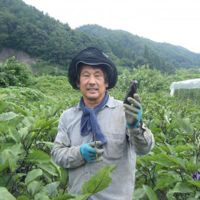 ふるさと納税 長野市 信州　採れたて旬の野菜セット