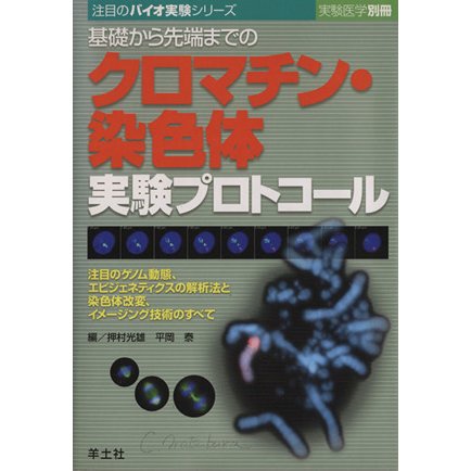 基礎から先端までのクロマチン・染色体実験プロトコール　ＢＪ７／押村光雄(著者),平岡泰(著者)