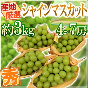 ”シャインマスカット” 秀品 4～7房 約3kg 産地厳選