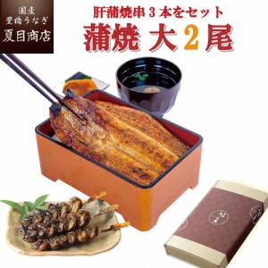 うなぎ 国産 贈り物用 蒲焼 155-167g×2尾と肝蒲焼き串×3本 大盛2人前 送料無料 豊橋うなぎ お歳暮 クリスマス ギフト プレゼント 贈り