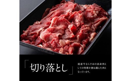 ※令和6年2月より順次発送※宮崎県産黒毛和牛切り落とし1.2kg[A] [G0674]