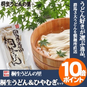 桐生うどん と 上州特選ひやむぎ 6人前セットひやむぎ 冷麦 うどん 乾麺 半生麺