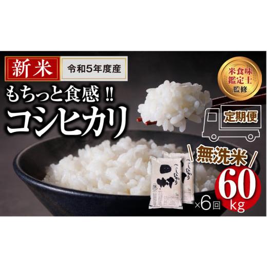 ふるさと納税 福島県 田村市   田村産  ＼定期便6回／ コシヒカリ 1俵 60kg 10kg ずつ 6回 配送ギフト 贅沢 のし対応 １週間…