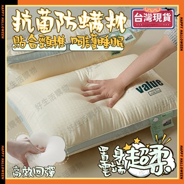 【台灣現貨】頸椎枕  護頸枕 頸枕 枕頭 記憶枕 低枕頭 高枕頭 抗菌 枕芯 枕套 助眠枕 肩頸枕頭 快速回彈 柔軟親膚
