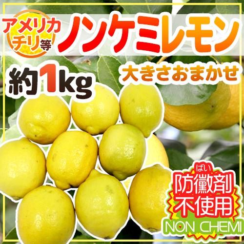 チリ・アメリカ産など ”ノンケミレモン” 大きさおまかせ 約1kg 安心の防ばい剤不使用！ノンケミカル 防黴剤（防かび剤）不使用