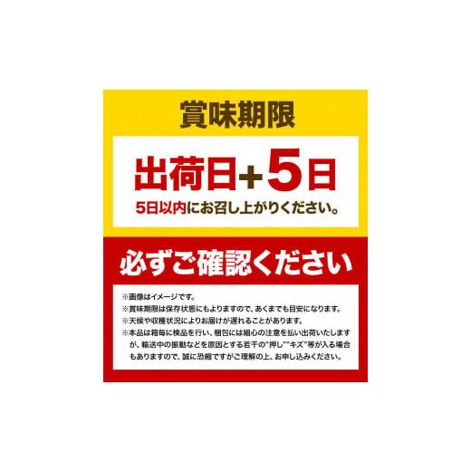 ふるさと納税 岡山県 浅口市 ぶどう [2024年先行予約] シャインマスカット 晴王 1房 530g 岡山県産《9月上旬-11月中旬頃出荷(土日祝除く)》 ハレノフルーツ マ…