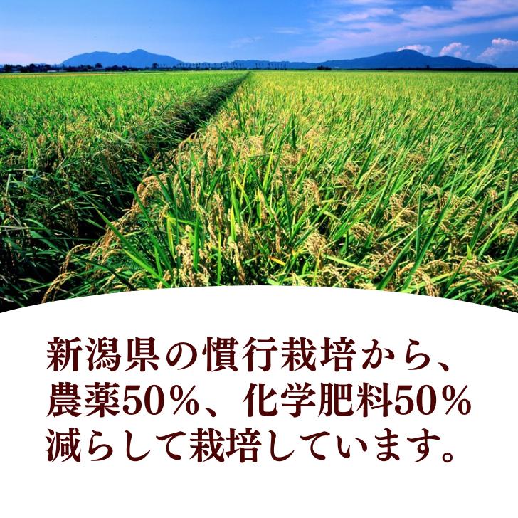 新米 5年産 米 新潟 コシヒカリ 玄米 30kg コシヒカリ 通販 こしひかり 玄米 30kg 減農薬 農家 直送 生産者 コシヒカリ 新潟県産 精米サービス