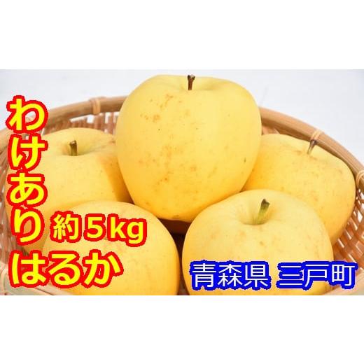 ふるさと納税 青森県 三戸町 高級りんご「はるか」12〜20玉（約5kg）