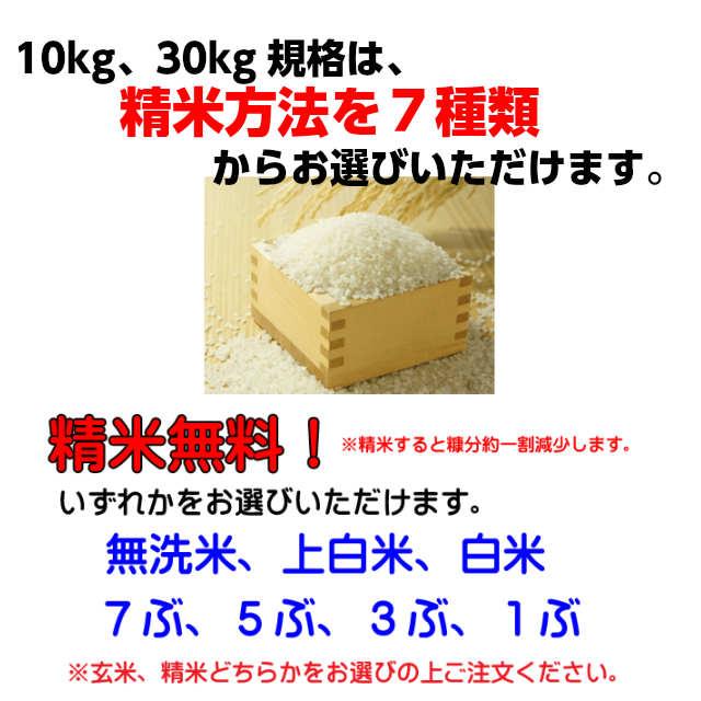 米 こしひかり 玄米 令和５年産 矢口さんちの 天の川のめぐみ 茨城コシヒカリ　30kg精米後27kg 精米無料 冷めてもおいしい  お取り寄せ