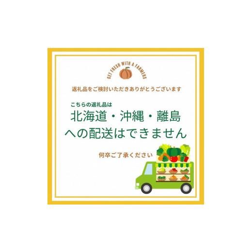 ふるさと納税 京都府 亀岡市 亀岡産 キヌヒカリ 2kg ＆ 野菜詰め合わせ合計12回お届け　有機野菜・京野菜の『京都やおよし』オーガニック 有機JAS …